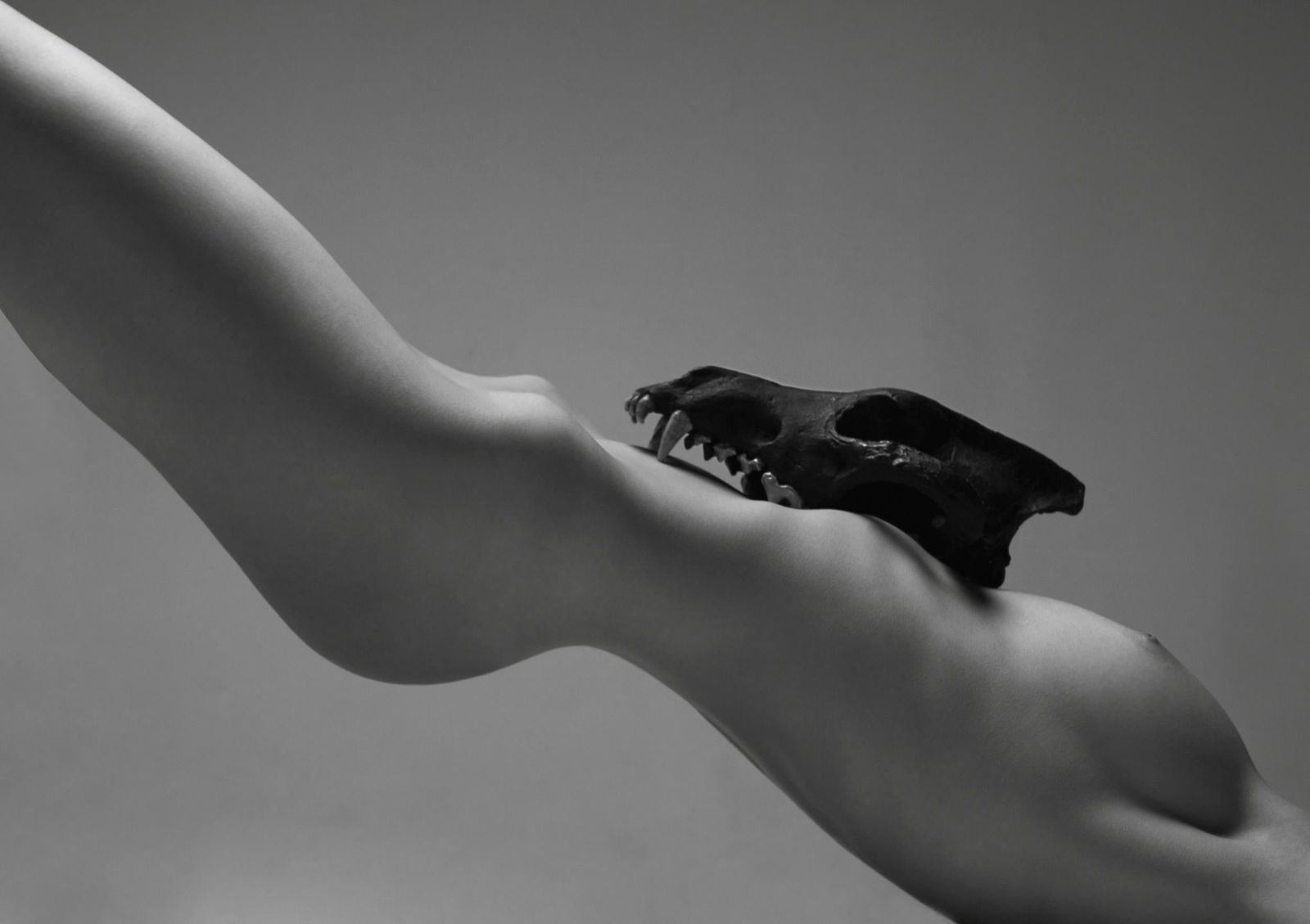 Aaron McPolin Lupa Nude Photography 24 x 32 Edition 1 of 7: Aaron McPolin Lupa Nude Photography 24 x 32 Edition 1 of 7 Explore the captivating world of fine art with "Lupa" by Aaron McPolin, a stunning nude photography piece that measures 24" x 32" (60.96 cm x