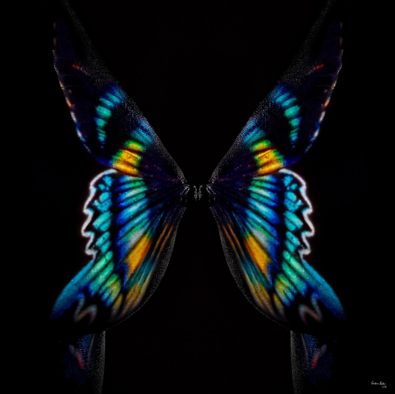 Giuliano Bekor Butterfly 8 Abstract Photography 24x24 Edition 1/24: Giuliano Bekor Butterfly 8 Abstract Photography 24x24 Edition 1/24 Discover the stunning "Butterfly 8" Abstract Photography by acclaimed artist Giuliano Bekor, created in 2018. This captivating piece