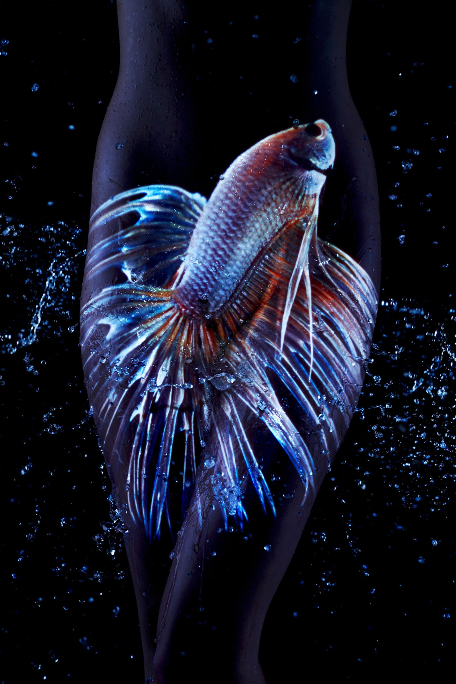 Giuliano Bekor WB9 Framed Photography Limited Edition of 10 62x42 Inches: Giuliano Bekor WB9 Framed Photography Limited Edition of 10 62x42 Inches Presenting "WB9," a striking framed photography piece by renowned artist Giuliano Bekor. This limited edition artwork, created