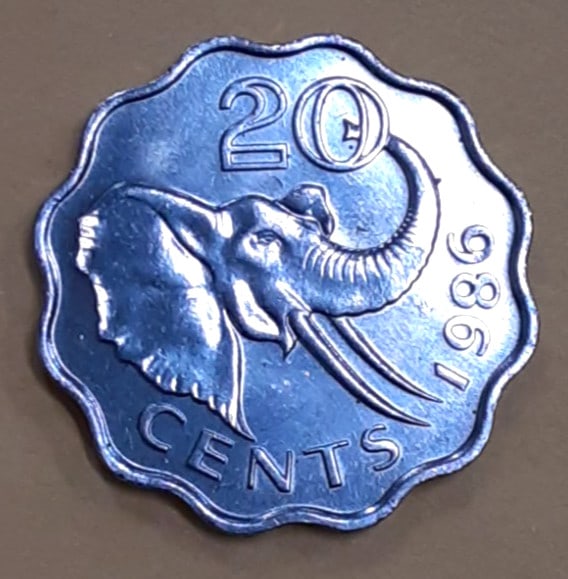 Roll of 50 BU 1986 Swaziland 20 Cent Copper-Nickel Elephant Coins KM42: Roll of 50 BU 1986 Swaziland 20 Cent Copper-Nickel Elephant Coins KM42 This is a roll of fifty un-used 1986 Swaziland 20 Cents coins featuring the elephant design. Each coin is made from copper-nickel