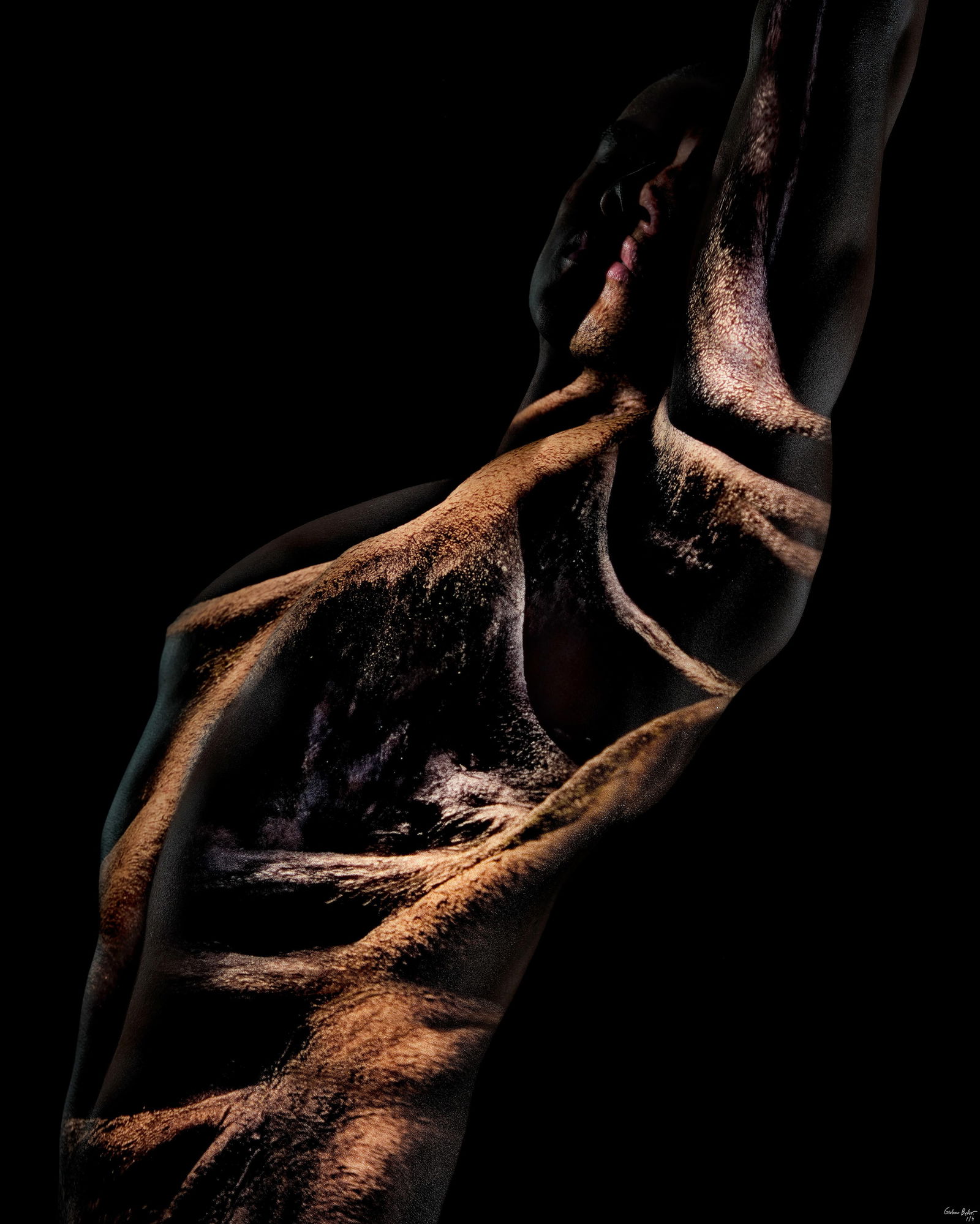 Giuliano Bekor Acacia ARM1 Abstract Photography Limited Edition 1/4 60 x 48: Giuliano Bekor Acacia ARM1 Abstract Photography Limited Edition 1/4 60 x 48 "Acacia ARM1" is a striking abstract photography piece by Giuliano Bekor, created in 2020. This stunning artwork measures 60