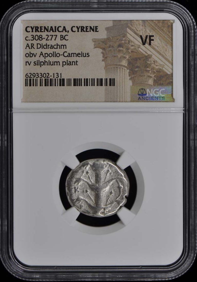 NGC Certified Cyrenaica Cyrene AR Didrachm c. 308-277 BC VF20: NGC Certified Cyrenaica Cyrene AR Didrachm c. 308-277 BC VF20 This ancient Greek coin is a Cyrenaica Cyrene AR Didrachm dating back to approximately 308-277 BC. It is certified by NGC with a grade of