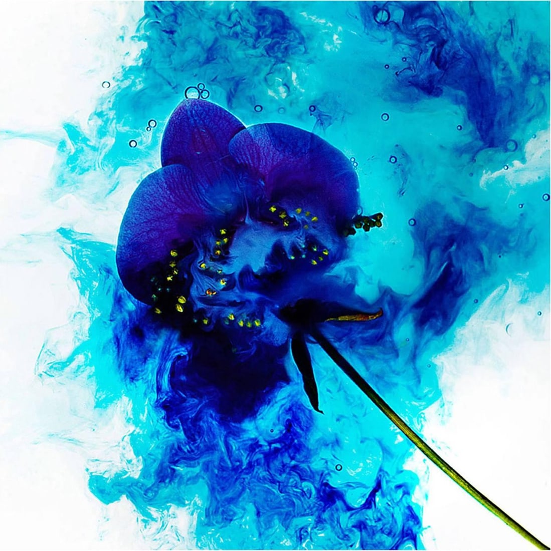 Giuliano Bekor Echoes No.03 Abstract Photography 40x40 in Edition of 20: Giuliano Bekor Echoes No.03 Abstract Photography 40x40 in Edition of 20 "Echoes No.03" is an exquisite piece of abstract photography by renowned artist Giuliano Bekor, measuring 40" x 40". Created in