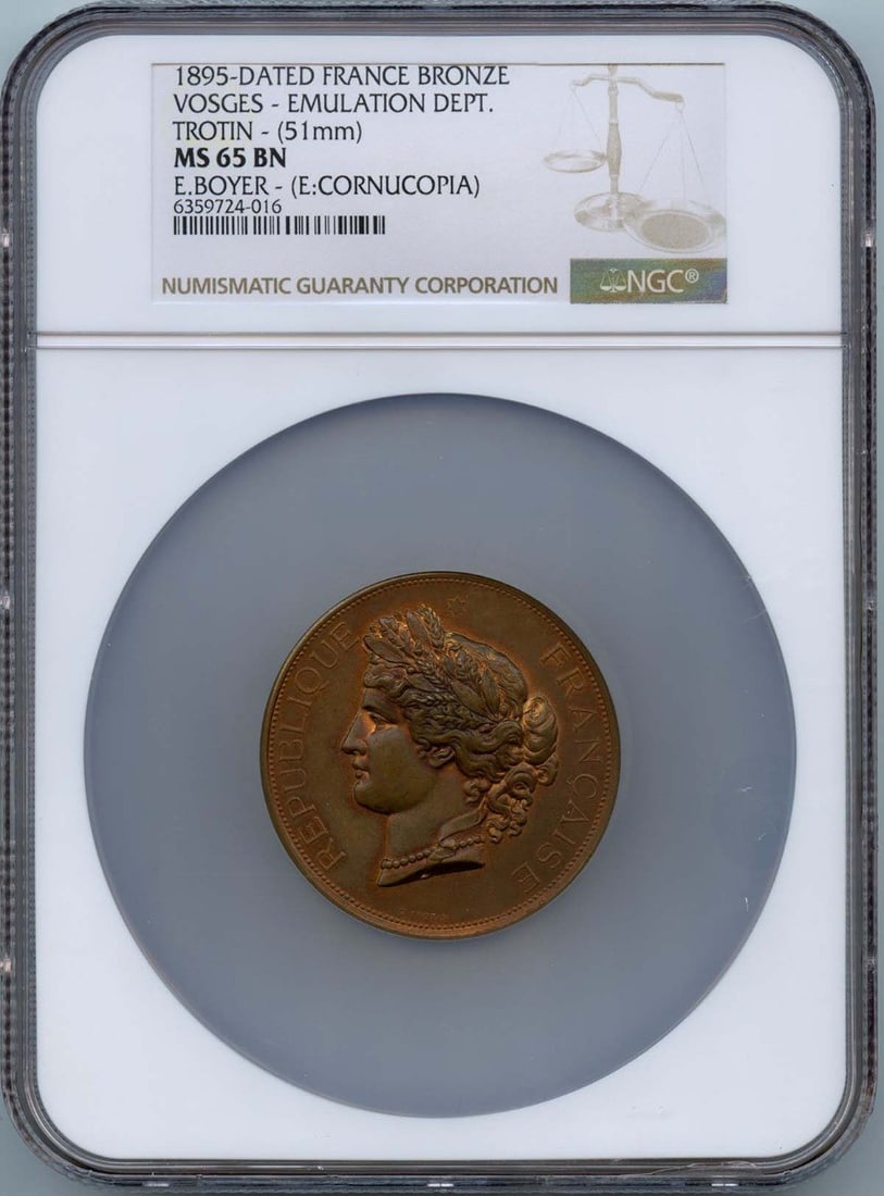 1895 France Bronze Vosges Trotin Medal NGC MS65BN 51mm: 1895 France Bronze Vosges Trotin Medal NGC MS65BN 51mm This exquisite medal, issued in 1895, features a stunning bronze finish and measures 51mm in diameter. Graded by NGC as MS65BN, it showcases exce