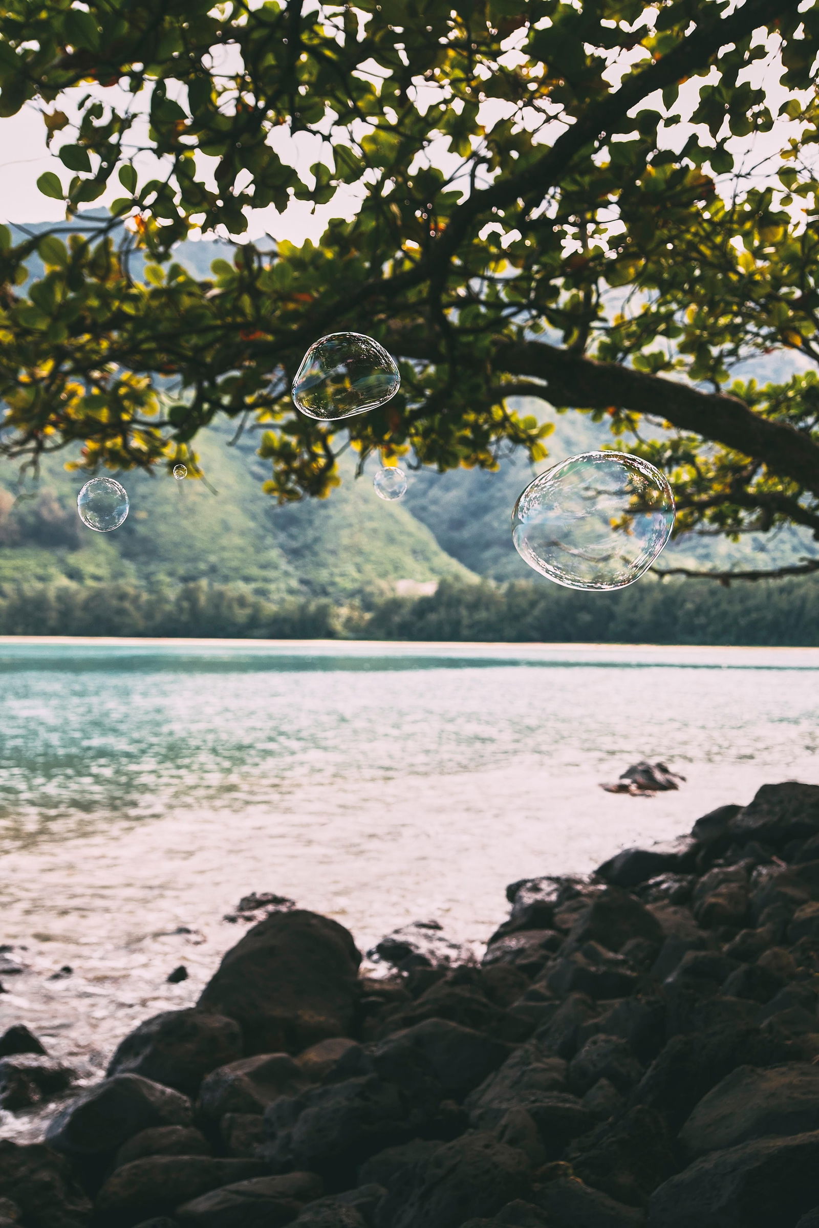 Rowan Daly Drift 39 Landscape Photography Limited Edition 30x20: Rowan Daly Drift 39 Landscape Photography Limited Edition 30x20 Introducing "Drift 39," a stunning landscape photography piece by Rowan Daly, created in 2013. This digital print measures 30 inches in