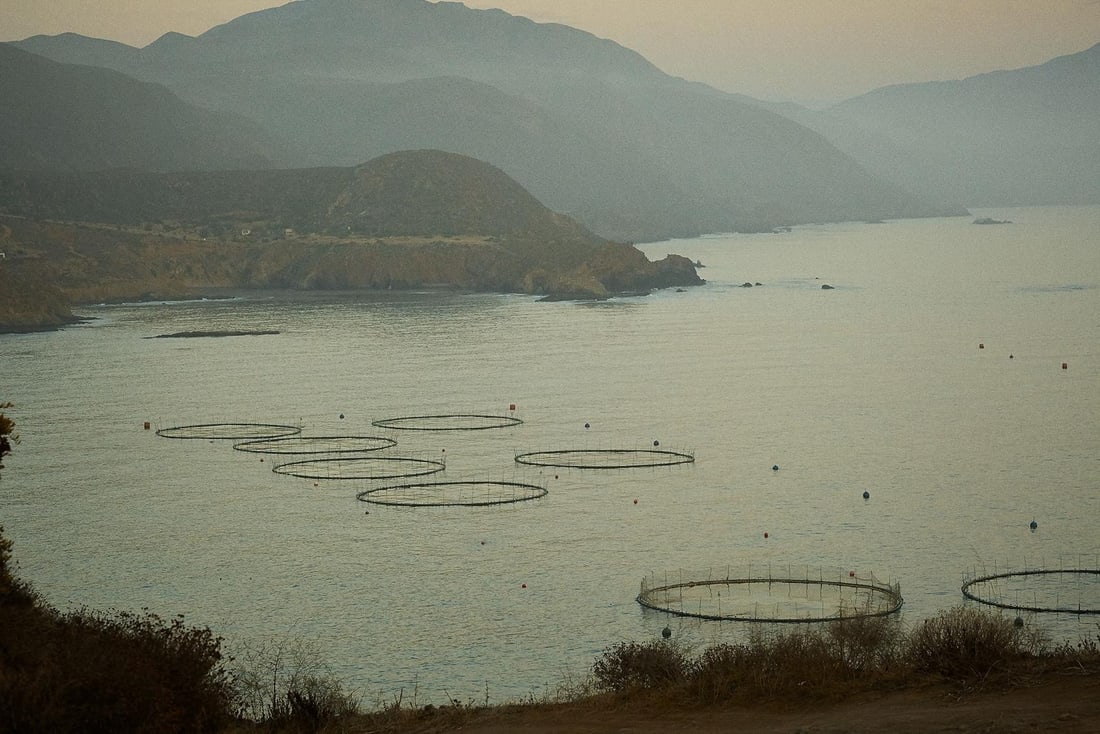 Rowan Daly Untitled Landscape Photography Ed. of 12 36 x 44 (1 of 2)