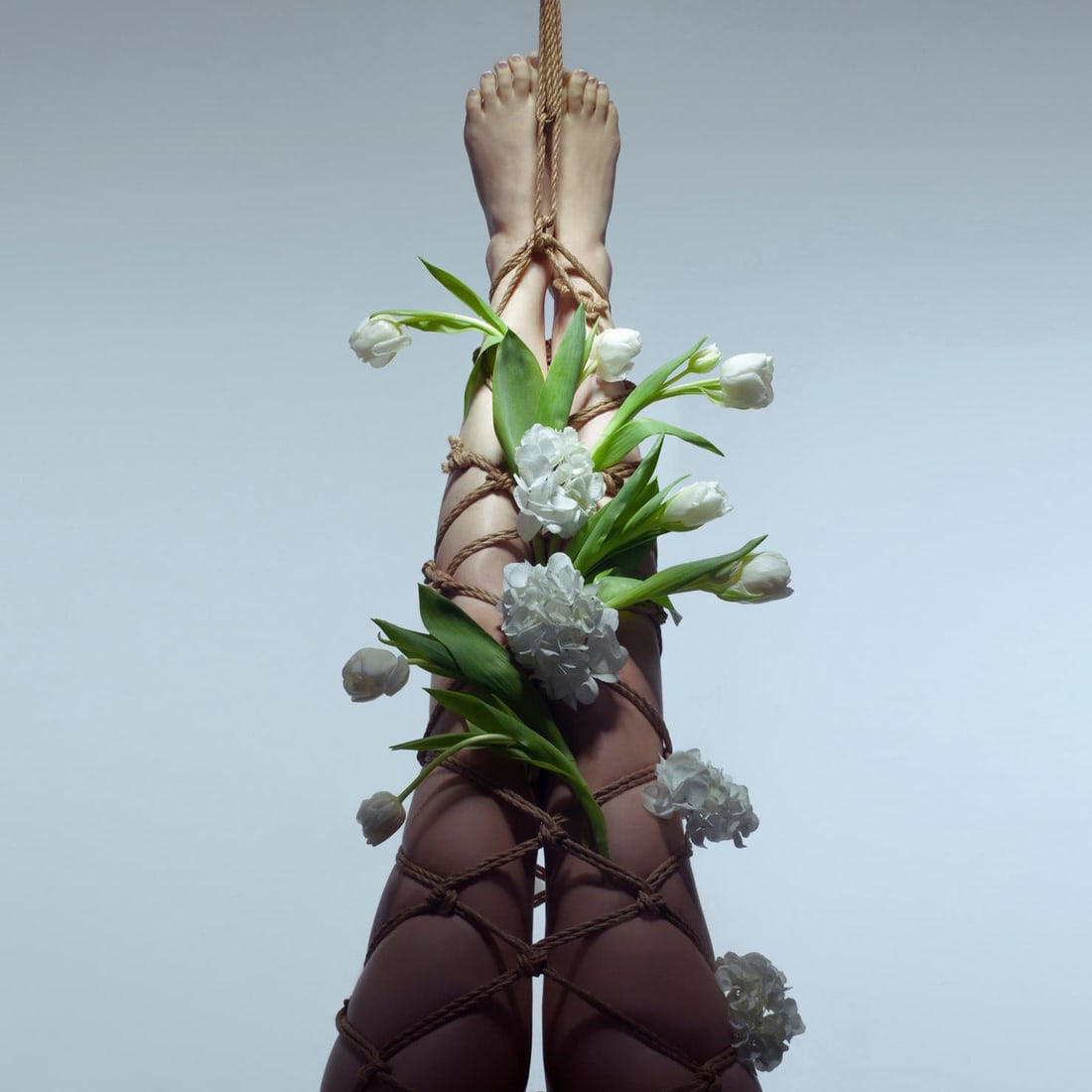 Edens Dreaming Photography by Aaron McPolin Limited Edition 1/15 24x24 (1 of 1)