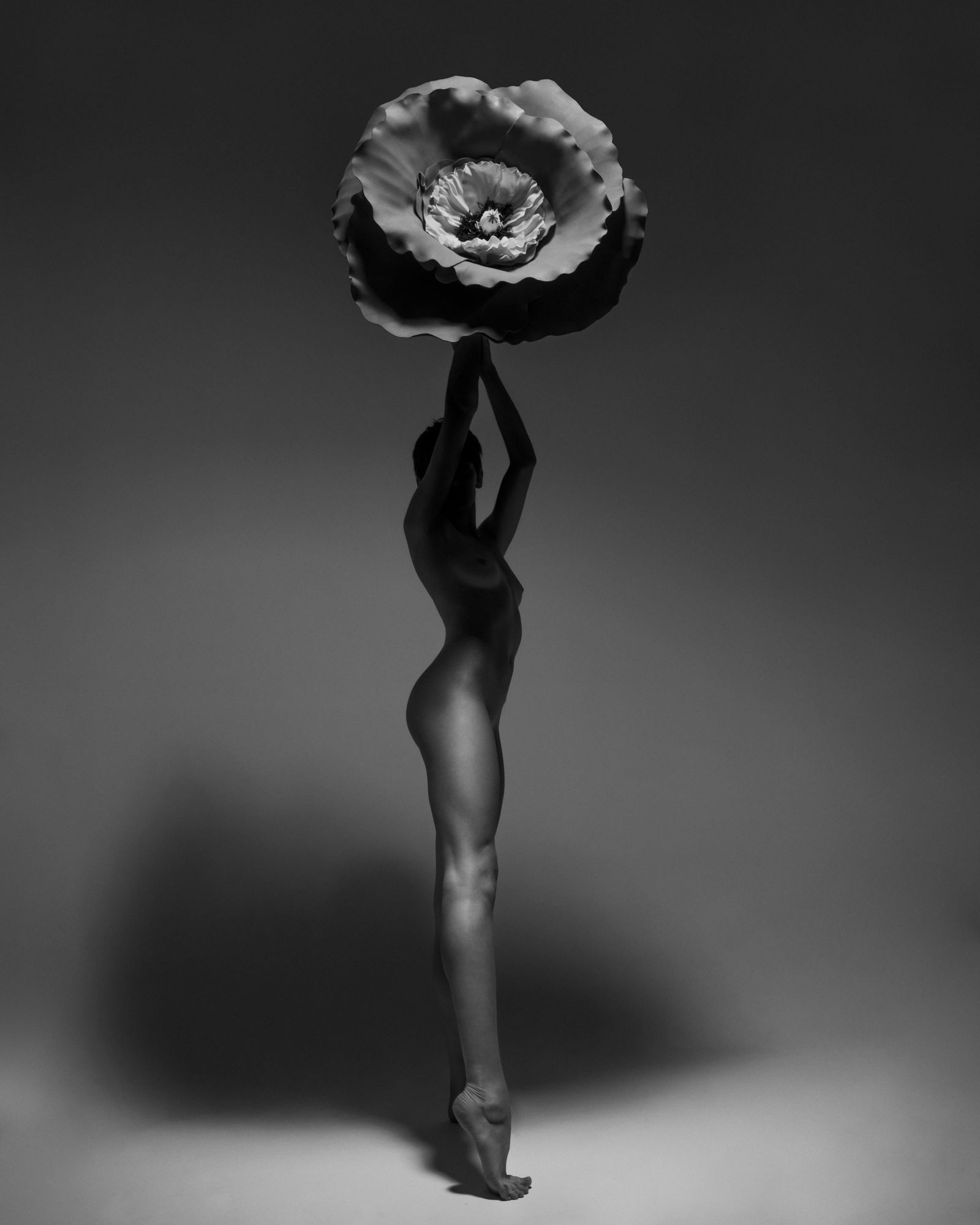 Behind Shadows Nude Photography 30 x 24 Ed. 1/7 by Aaron McPolin: Behind Shadows Nude Photography 30 x 24 Ed. 1/7 by Aaron McPolin "Behind Shadows" is a stunning piece of nude photography by Aaron McPolin, created in 2023. This archival pigment print measures 30 inc