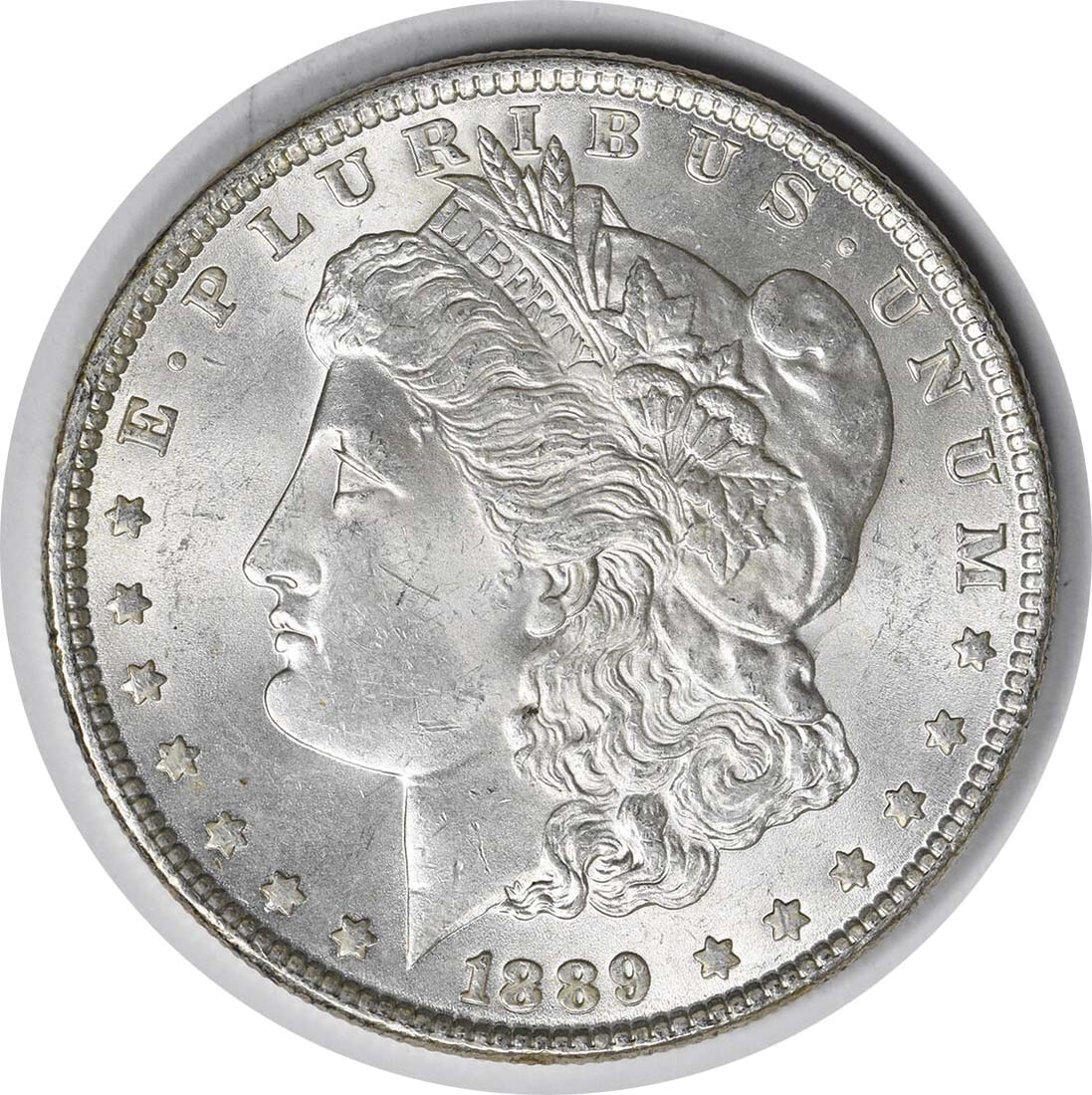 1889 Morgan Silver Dollar VAM 16 Choice BU Uncertified Silver Coin (1 of 2)