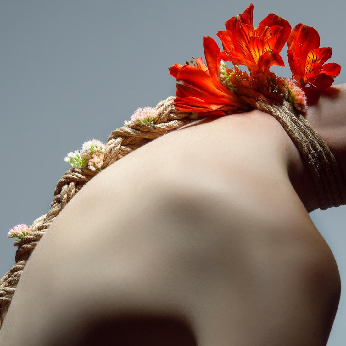 Aaron McPolin 'Bow' Photography 30x30 Edition 1 of 7 Contemporary Art: Aaron McPolin 'Bow' Photography 30x30 Edition 1 of 7 Contemporary Art Introducing "Bow," a captivating 30" x 30" archival pigment photograph by award-winning artist Aaron McPolin, created in 2017. Thi