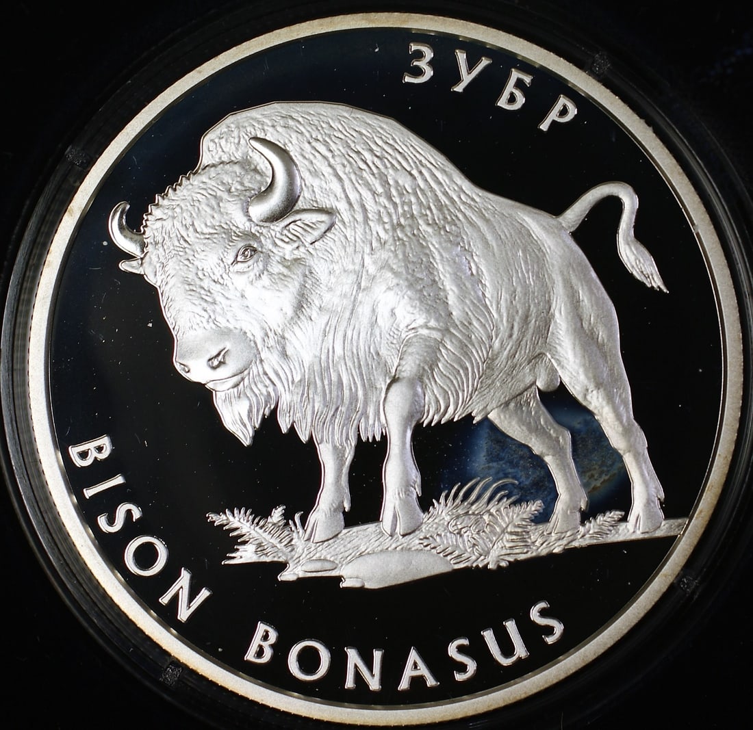 Bison Flora and Fauna 2003 Silver Proof 10 Hryvnias Coin Ukraine: Bison Flora and Fauna 2003 Silver Proof 10 Hryvnias Coin Ukraine This is a 2003 Ukraine 10 Hryvnias Bison Flora and Fauna proof coin, crafted from 0.925 fine sterling silver. The coin is uncirculated