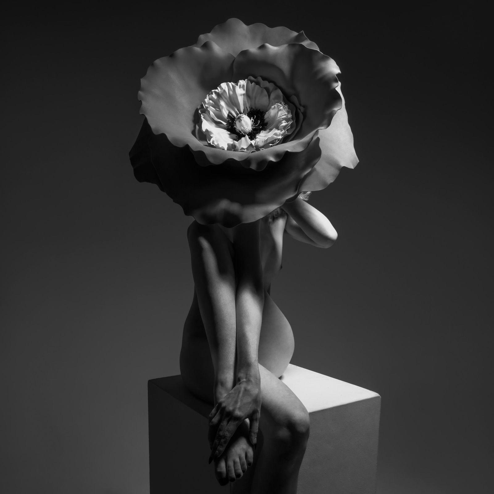 Aaron McPolin "Thorns" Nude Black & White Photography Ed. 1/15 24" x 24": Aaron McPolin "Thorns" Nude Black & White Photography Ed. 1/15 24" x 24" "Thorns" is a captivating piece of nude black and white photography by Aaron McPolin, measuring 24" x 24". Created in 2023, thi