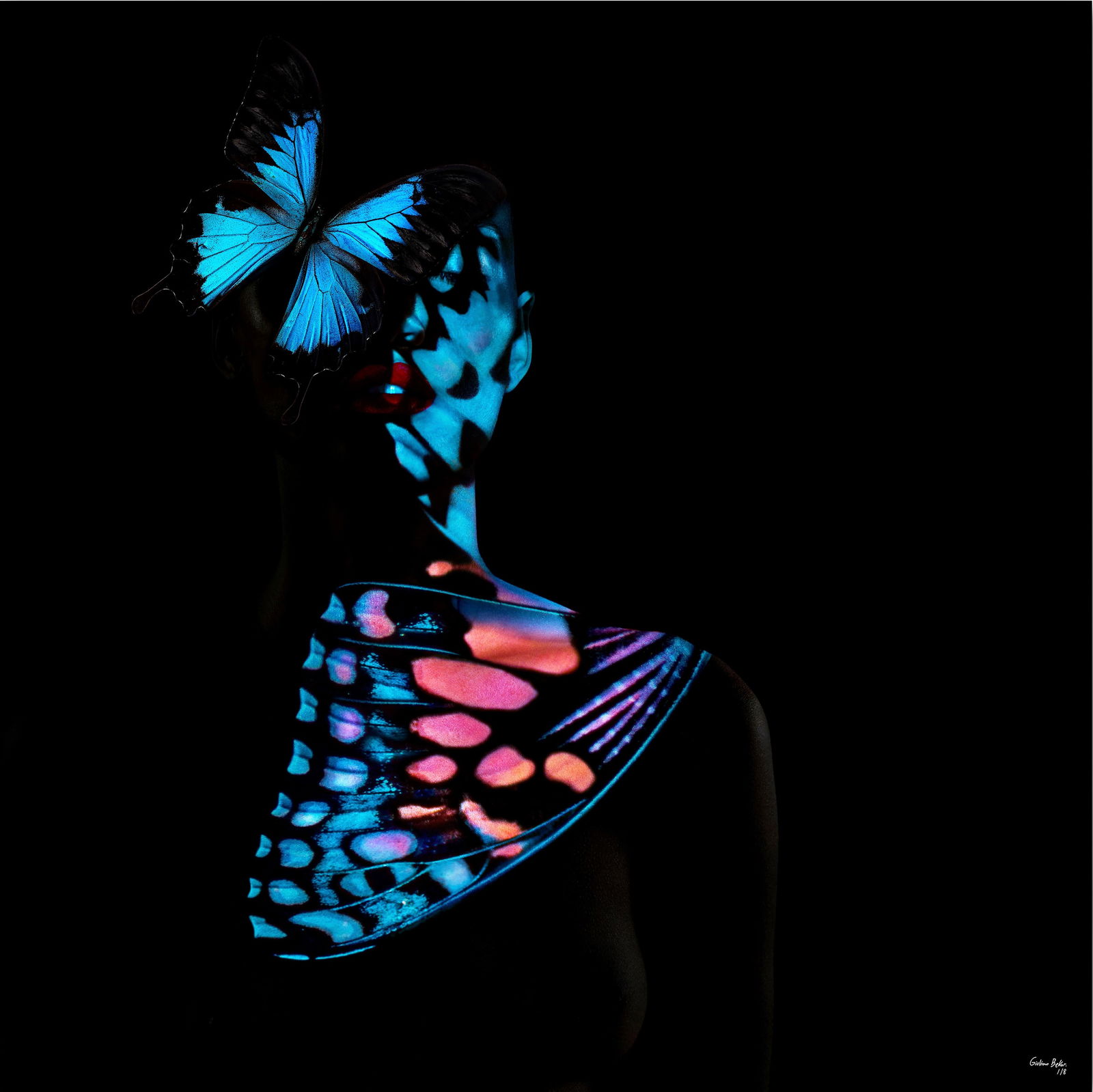 Giuliano Bekor Butterfly 29 Framed Photography 1/8 Edition 40x40 Pop Art: Giuliano Bekor Butterfly 29 Framed Photography 1/8 Edition 40x40 Pop Art Experience the stunning visual impact of "Butterfly 29," a framed photography piece by acclaimed artist Giuliano Bekor. This ca