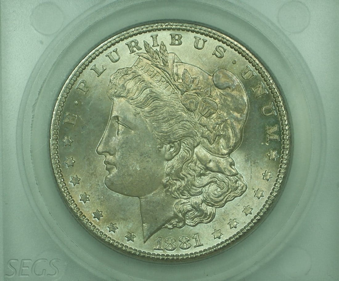 Uncirculated 1881-S Morgan Dollar in Protective Hard Case Toned: Uncirculated 1881-S Morgan Dollar in Protective Hard Case Toned This 1881-S Morgan Silver Dollar is an uncirculated coin from the United States, featuring natural toning and presented in a hard plasti