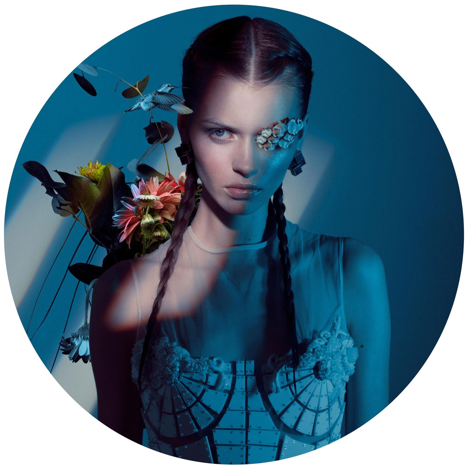 Brian Ziff Permafrost Photography 24x24 Edition of 24 Giclee Print (1 of 1)