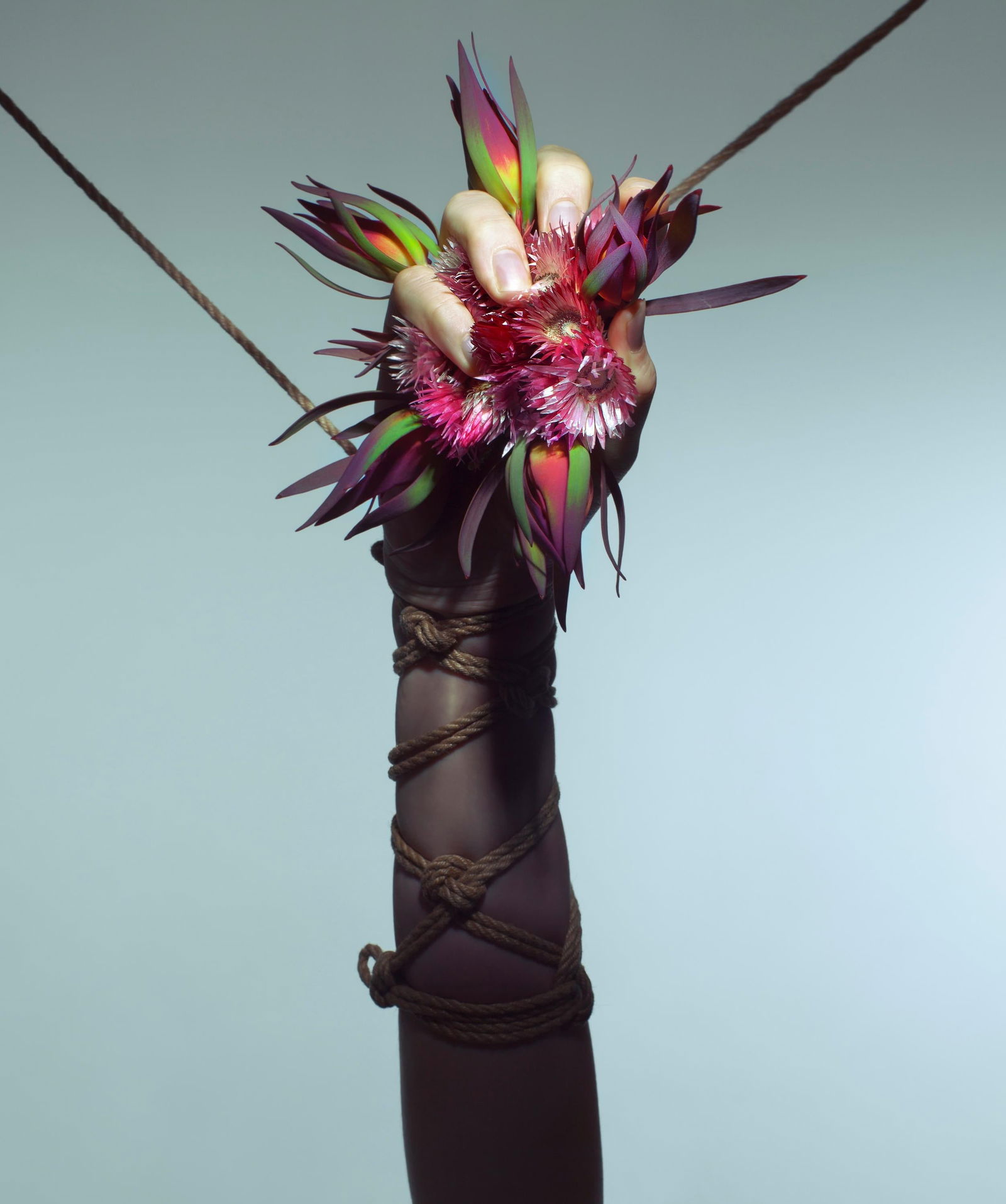 Framed Dark Spark Photography 20 x 16 by Aaron McPolin Edition 1/15: Framed Dark Spark Photography 20 x 16 by Aaron McPolin Edition 1/15 "Dark Spark" is a stunning framed photography piece by Aaron McPolin, measuring 20" x 16" (50.8 cm x 40.64 cm) with an overall frame