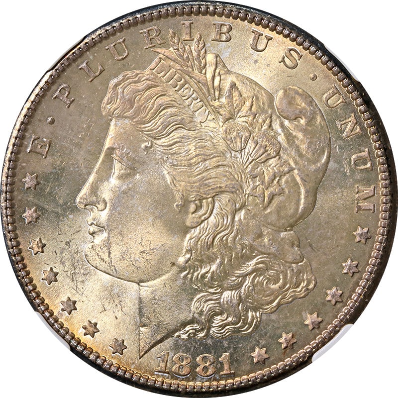 1881-S Morgan Silver Dollar NGC MS66 with Nice Toning (1 of 4)