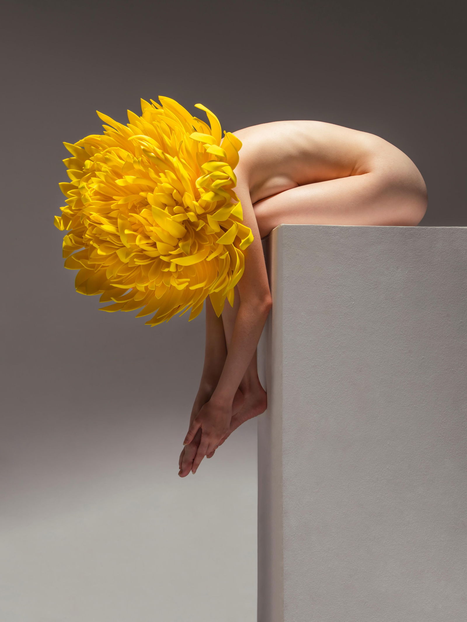 Midnight Petals Soft Wounds Photography by Aaron McPolin Ed 1/7 32 x 24 Contemporary Art (1 of 3)