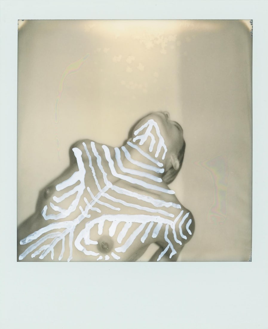 Larsen Sotelo Signed Polaroid Nude Photograph Pola Girls 15 Unique 2019: Larsen Sotelo Signed Polaroid Nude Photograph Pola Girls 15 Unique 2019 "Pola Girls 15" is a unique nude Polaroid photograph created by Larsen Sotelo in 2019. This contemporary piece features a hand-s