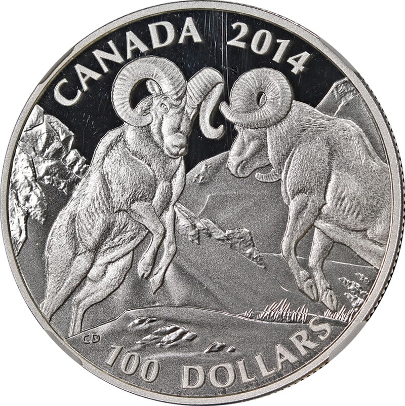 NGC PF70 2014 Canada $100 Silver Bighorn Sheep Matte Early Release Coin: NGC PF70 2014 Canada $100 Silver Bighorn Sheep Matte Early Release Coin This 2014 Canada Silver $100 Bighorn Sheep coin features a matte finish and has been graded PF70 by NGC, indicating a perfect co
