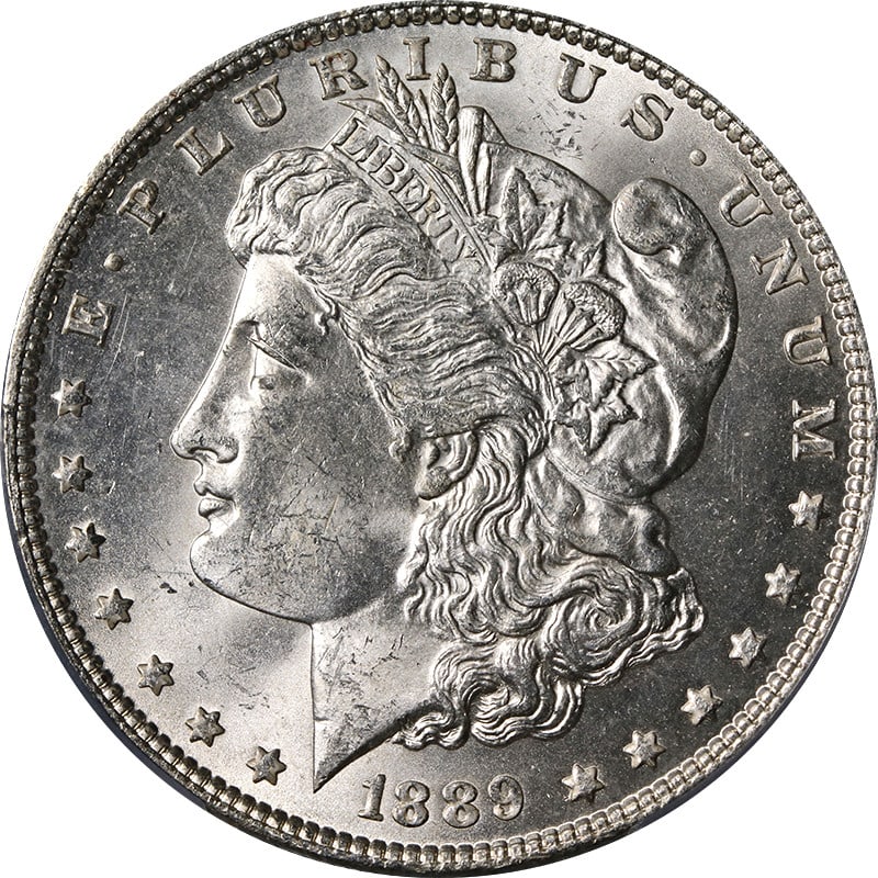 PCGS MS64 1889 Morgan Dollar VAM 5B Pitted Reverse Silver Coin: PCGS MS64 1889 Morgan Dollar VAM 5B Pitted Reverse Silver Coin This 1889-P Morgan Silver Dollar features the VAM 5B Pitted Reverse variety and is graded MS64 by PCGS. Noted for its superb eye appeal,