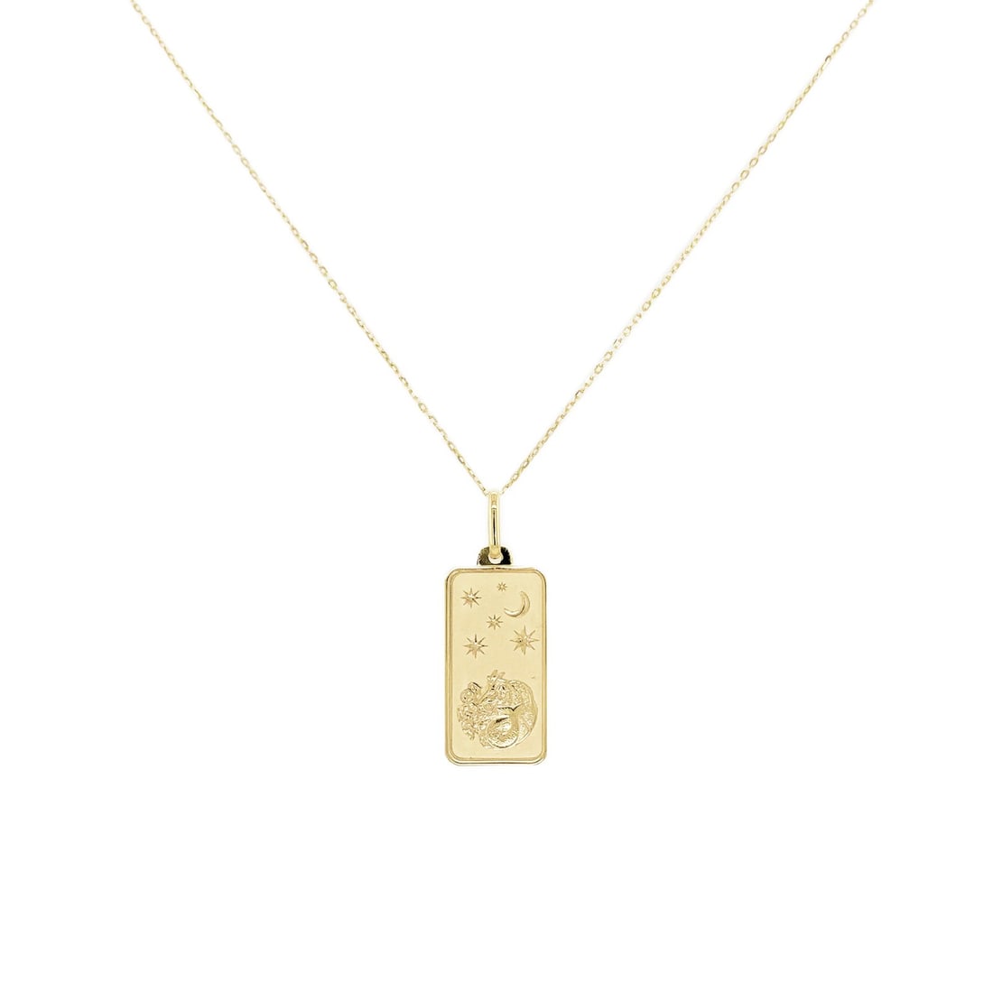 Sabrina Designs Capricorn Zodiac Dog Tag Necklace 14K Yellow Gold: Sabrina Designs Capricorn Zodiac Dog Tag Necklace 14K Yellow Gold Showcase your astrological sign with this stunning Capricorn Zodiac Dog Tag Necklace, crafted in luxurious 14K Yellow Gold. This elega