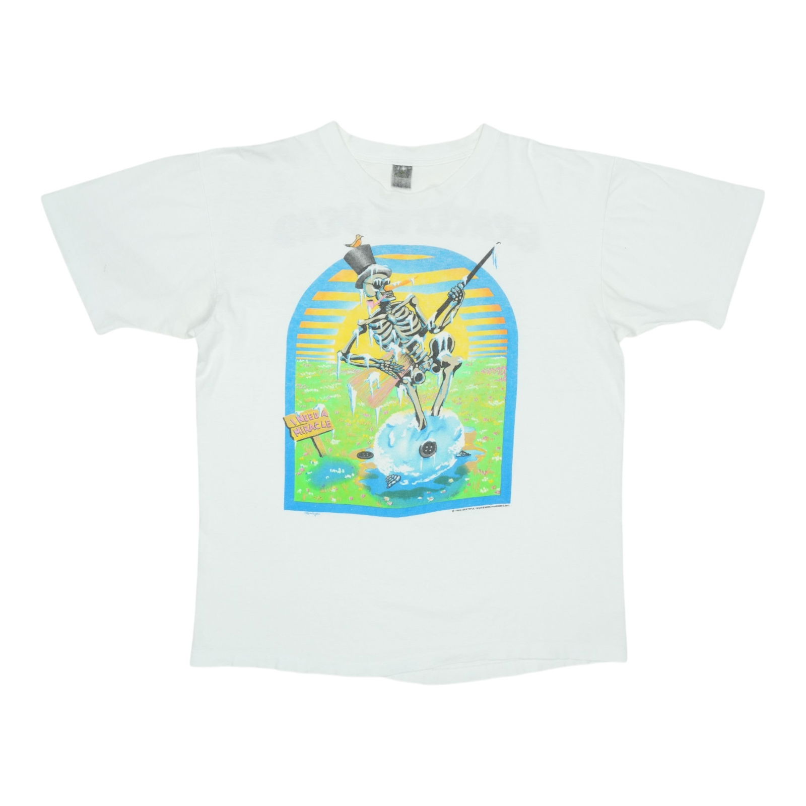 Vintage 1989 Grateful Dead Spring Tour White Cotton Band T-Shirt (1 of 8)