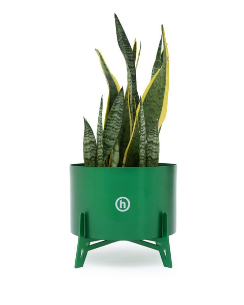 Decorative Hidden Green Ceramic Planter for Indoor Spaces: Decorative Hidden Green Ceramic Planter for Indoor Spaces This authentic Hidden Green Planter is in un-used and unworn condition, making it a perfect choice for adding greenery to your space. Specific