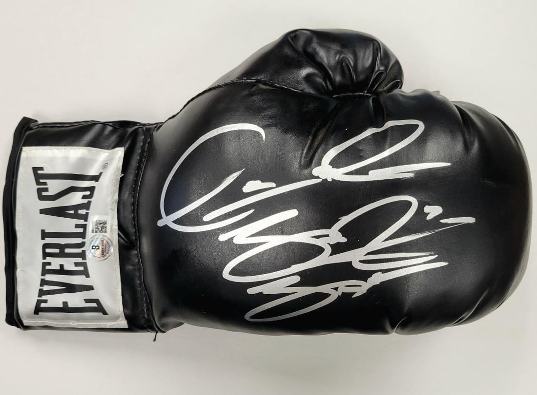 Boxing Glove Autographed by Deontay Wilder Bronze Bomber Beckett Authenticated (1 of 4)