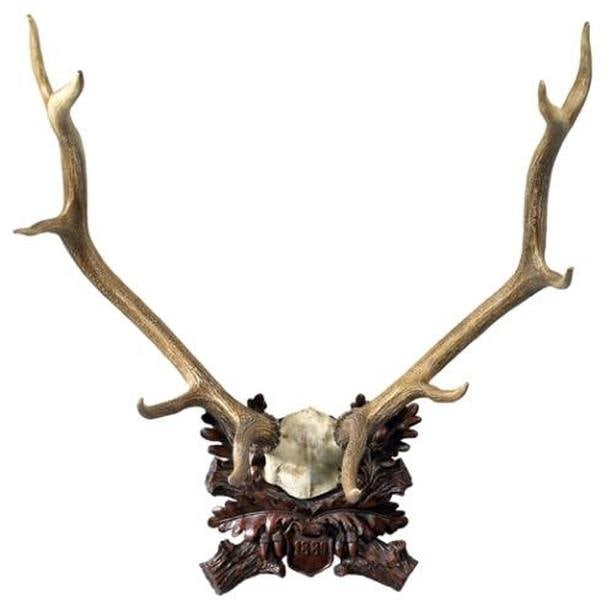 Large Hand-Cast Resin Deer Antlers Lodge Wall Plaque Ivory Finish (1 of 1)