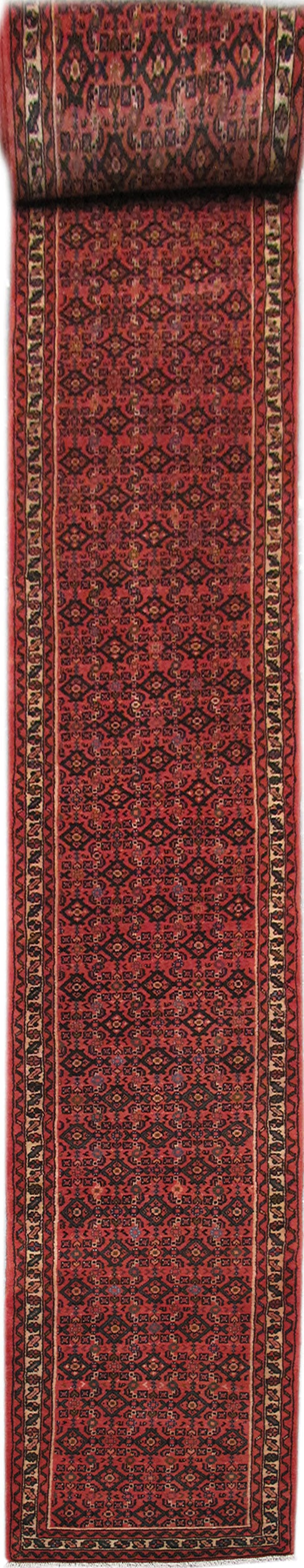 3' x 22' Red Persian Hamadan Rug Premium Quality: 3' x 22' Red Persian Hamadan Rug Premium Quality Free continental US Shipping Elevate your living space with this stunning 3' x 22' Red Persian Hamadan Rug. Known for its intricate patterns and rich c