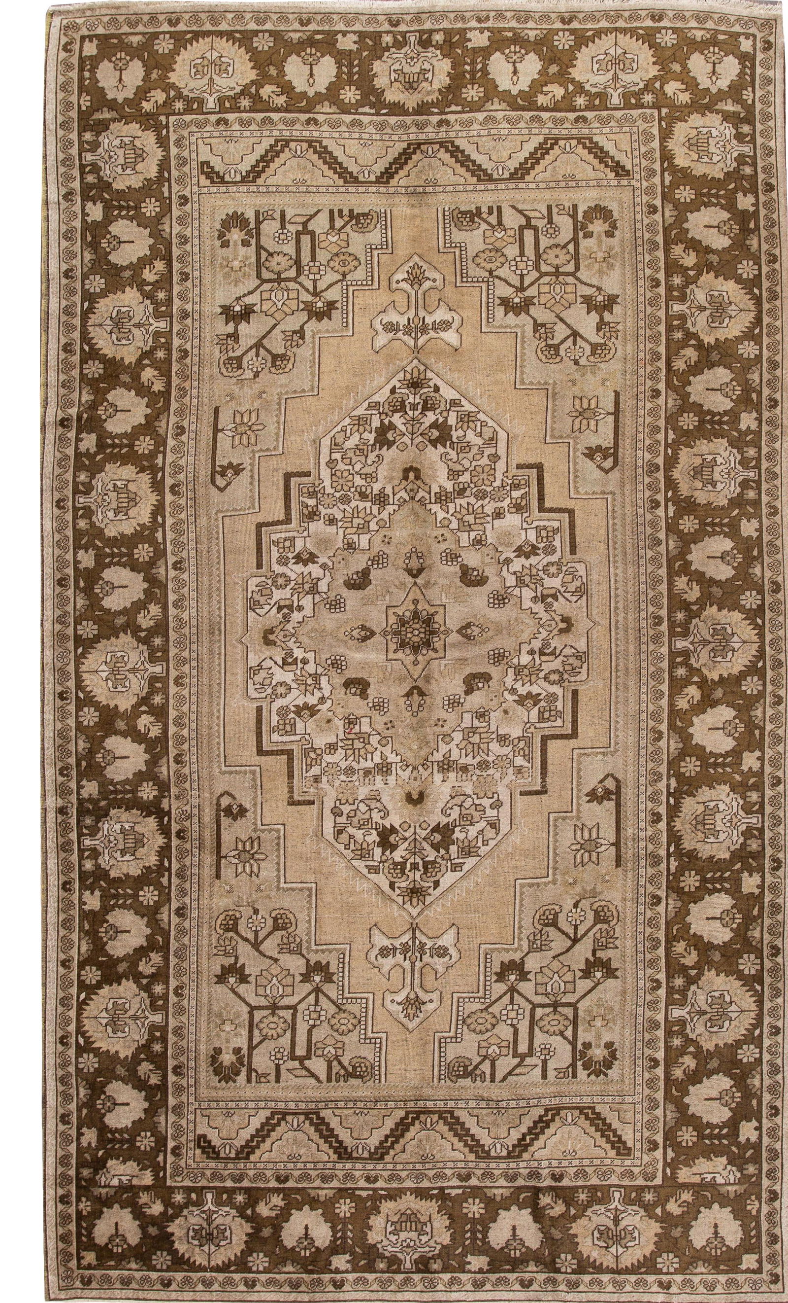 Antique Early 20th Century Turkestan Khotan Wool Rug 7'3 x 12'6 Tan Multi-Medallion (1 of 10)