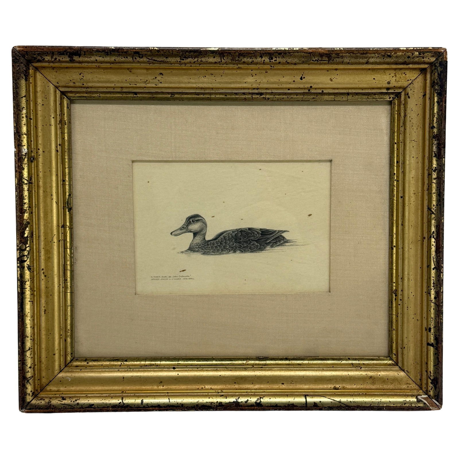 Kathleen Jessica O'Leary 1980 Black Duck Pencil Drawing in 19th Century Frame (1 of 9)