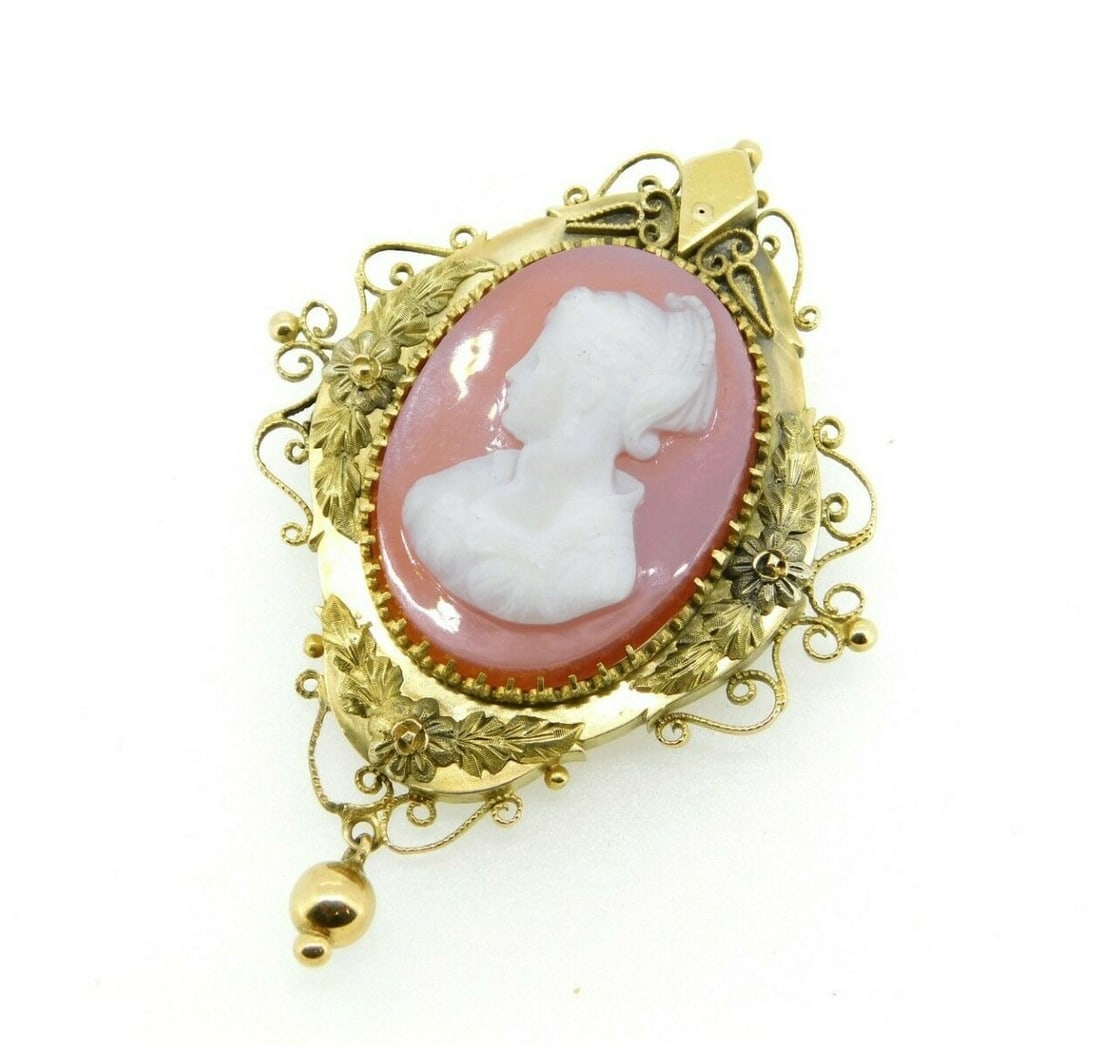 Victorian 14k Yellow Gold Agate Cameo Brooch and Pendant with Floral Border (1 of 5)