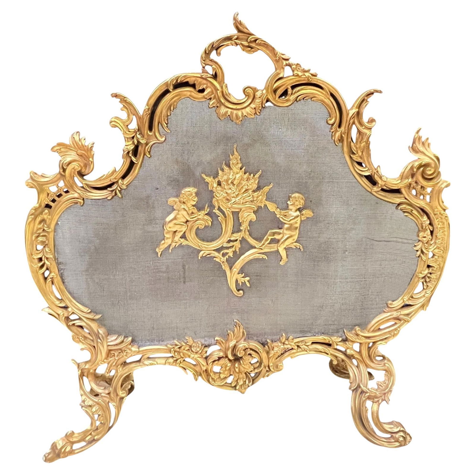 French Louis XV Style Gilt Bronze Fireplace Screen with Cherub Motifs Circa 1880 (1 of 14)