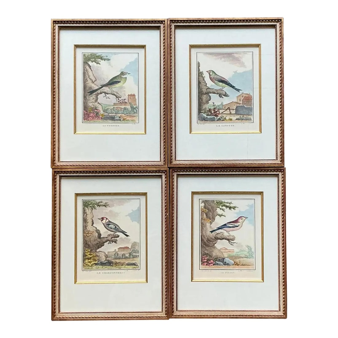 Set of Four Regency-Style Framed Vintage Ornithological Prints (1 of 10)