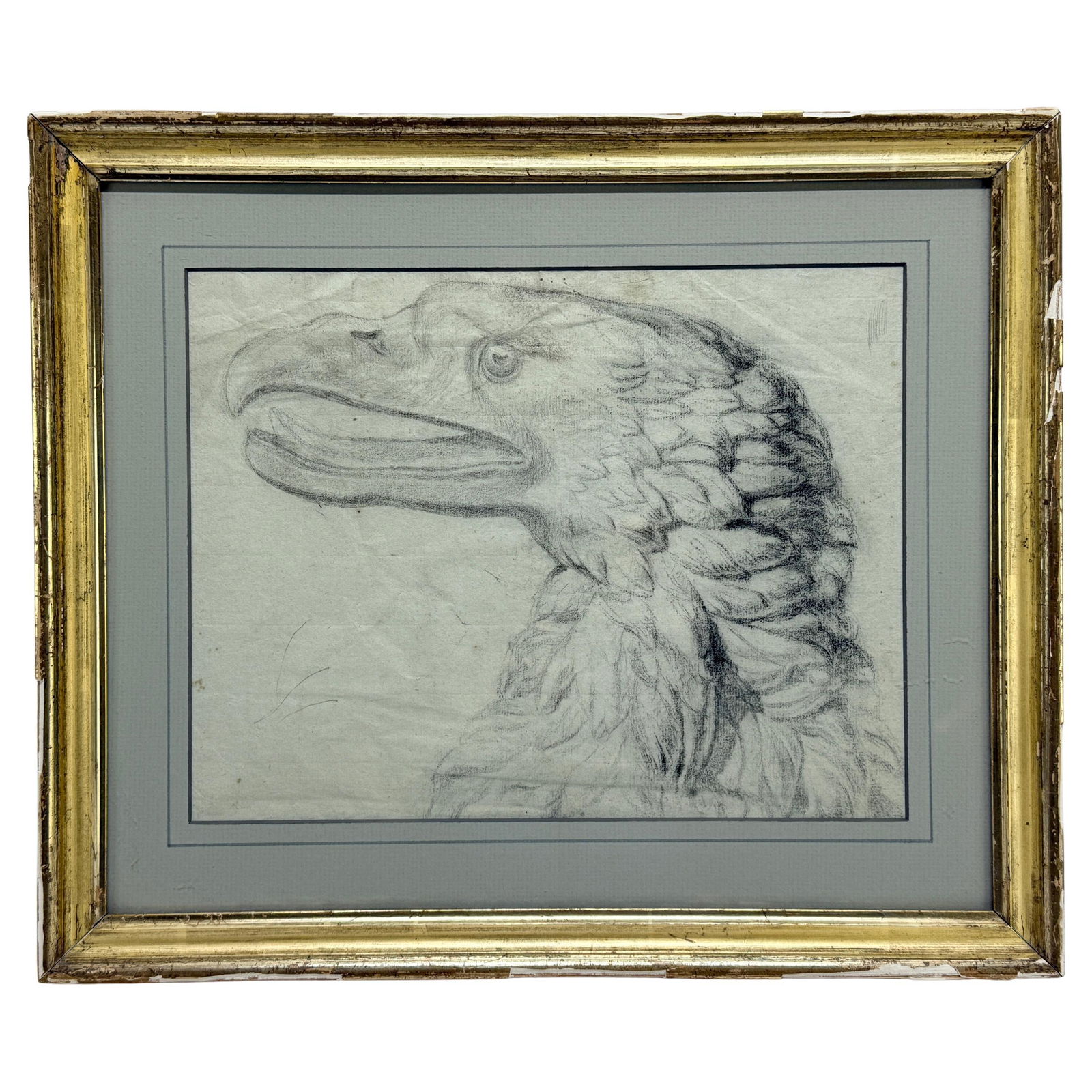 Late 18th Century Bald Eagle Drawing Attributed to William Bartram: Late 18th Century Bald Eagle Drawing Attributed to William Bartram This exceptional late 18th-century drawing features a detailed representation of a bald eagle's head, attributed to the renowned Amer