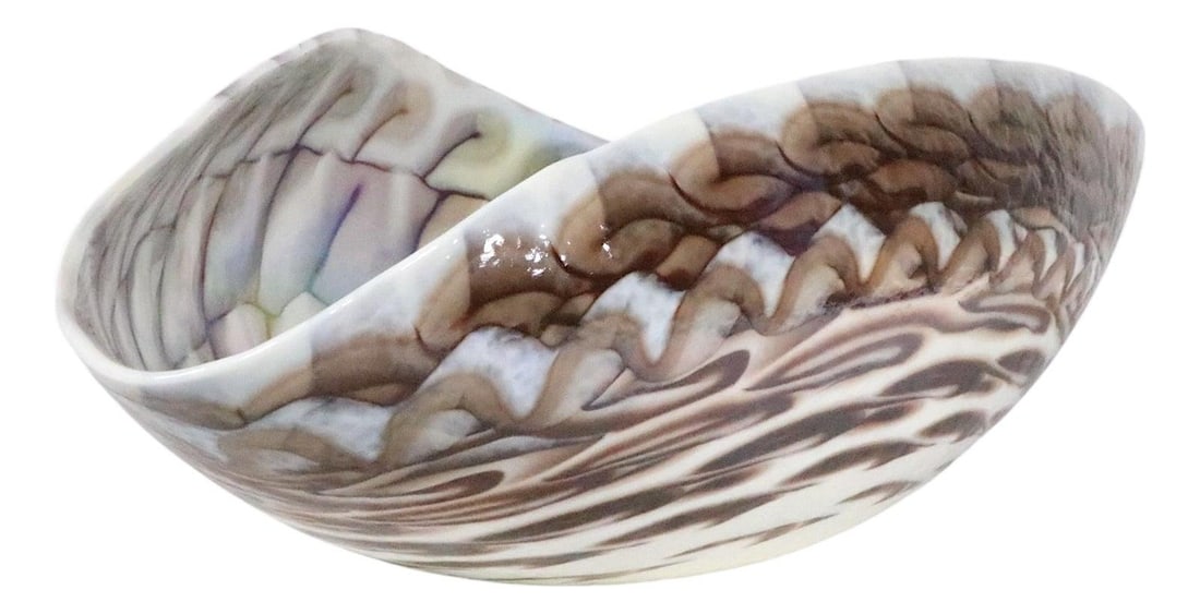 1970s Fornace Ferro Murano Iridized Art Glass Shell Bowl with Vetro Artistico Label: 1970s Fornace Ferro Murano Iridized Art Glass Shell Bowl with Vetro Artistico Label This vintage art glass shell bowl was crafted in Italy by Fornace Ferro around the 1970s. It features an iridized su