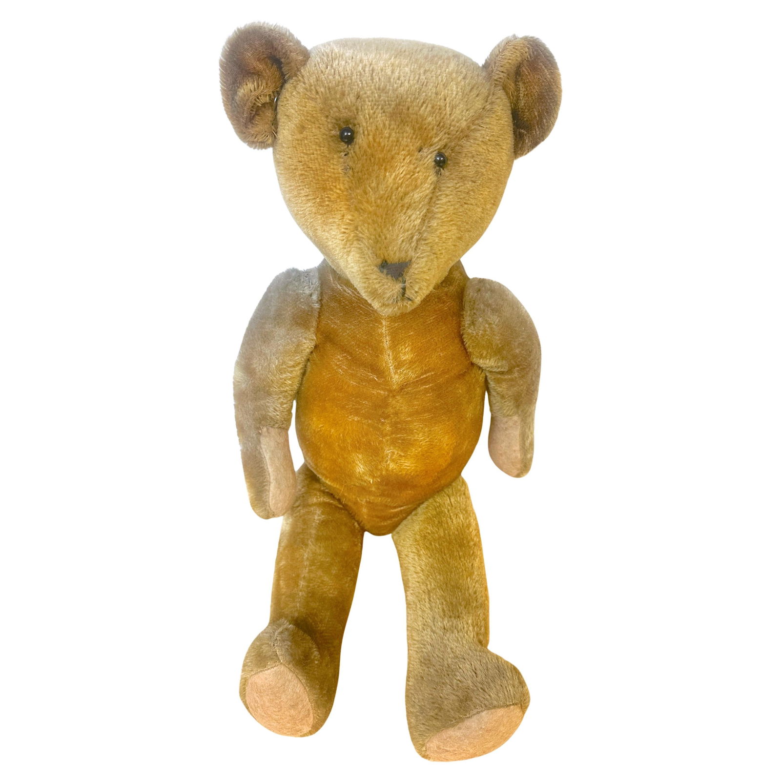 Franklin Cone Nose Teddy Bear Early 20th Century Mohair USA 25 Inch (1 of 12)