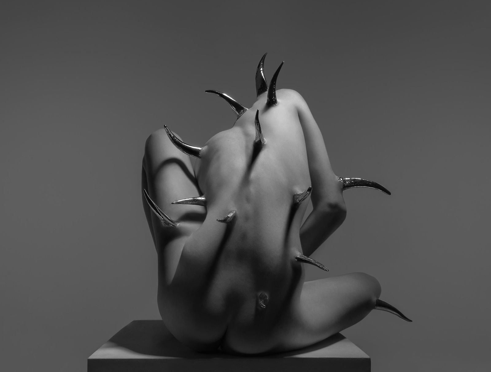 Willful Sin II Framed Photography 40 x 60 Edition 1 of 3 by Aaron McPolin (1 of 3)