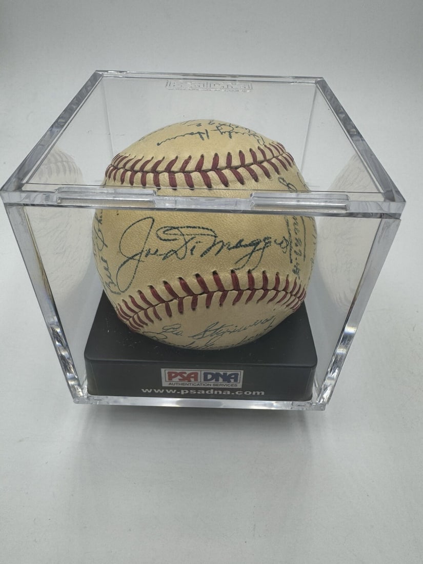 1946 New York Yankees Team Signed Baseball Joe DiMaggio PSA/DNA LOA: 1946 New York Yankees Team Signed Baseball Joe DiMaggio PSA/DNA LOA This Official American League baseball, signed by 24 members of the legendary 1946 New York Yankees, is a must-have for any baseball