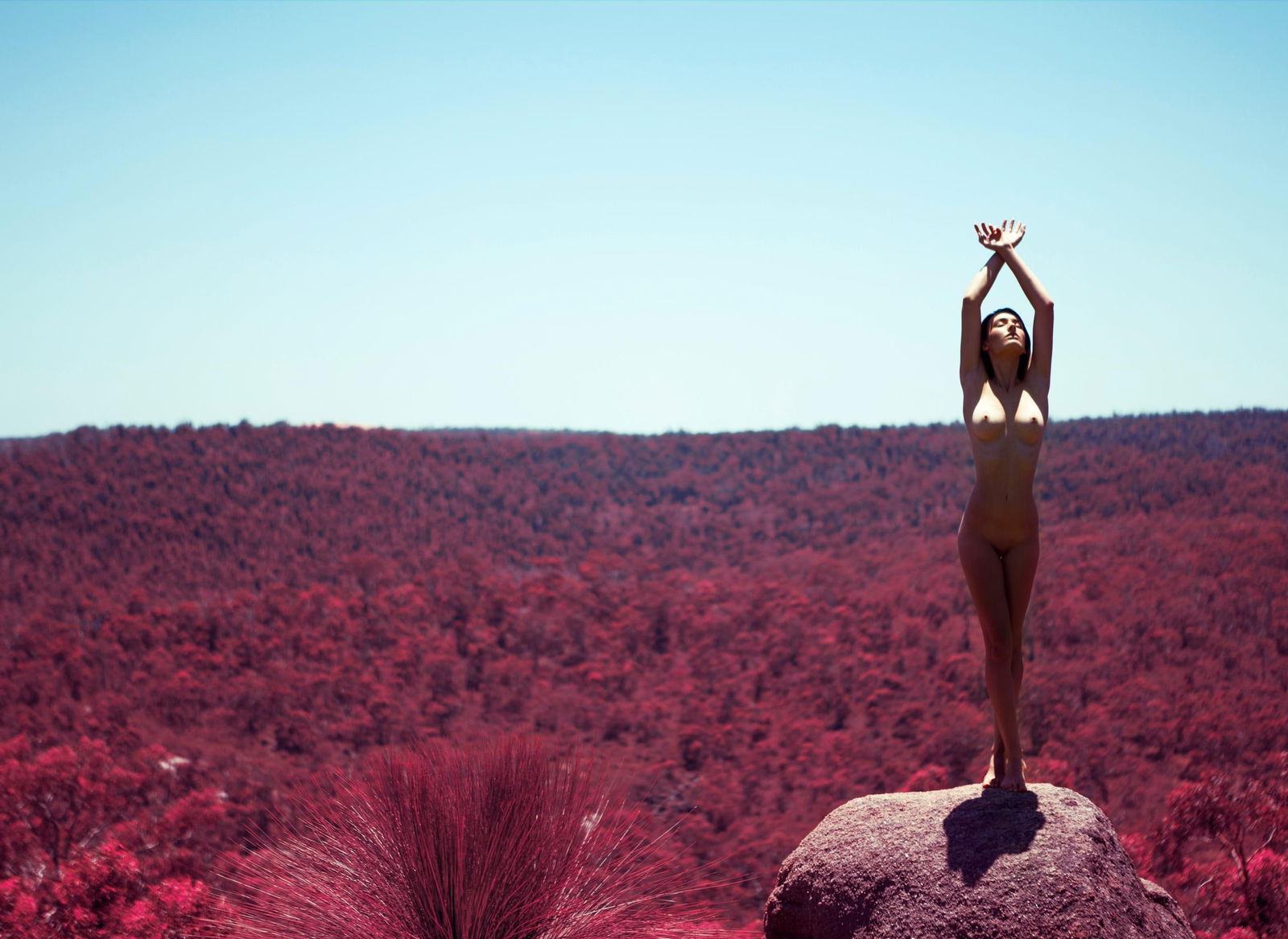 Praise The Sun Nude Photography by Aaron McPolin 24 x 36 Ed. 1/7: Praise The Sun Nude Photography by Aaron McPolin 24 x 36 Ed. 1/7 "Praise The Sun" is a striking piece of nude photography by acclaimed artist Aaron McPolin, created in 2013. This archival giclee print