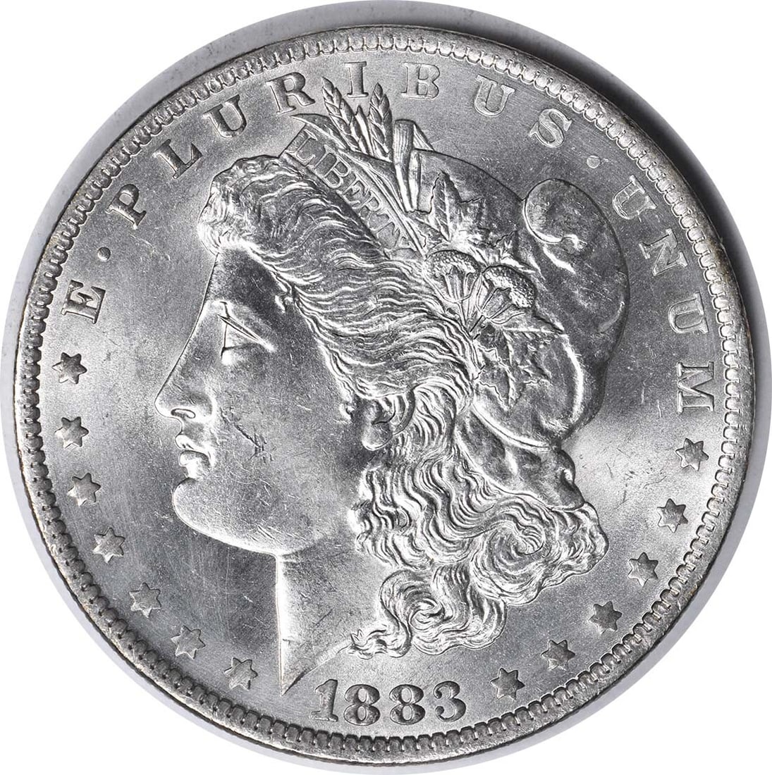 Partial E Reverse 1883-O VAM 36A Morgan Silver Dollar Choice BU Uncertified: Partial E Reverse 1883-O VAM 36A Morgan Silver Dollar Choice BU Uncertified This is an 1883-O Morgan Silver Dollar featuring the VAM 36A Partial E Reverse variety. The coin is uncirculated and in Choi