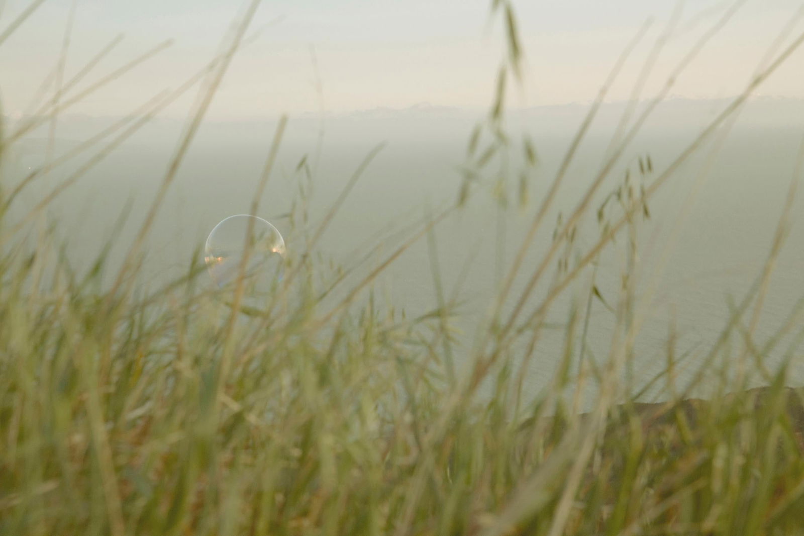 Rowan Daly Drift 12 Photography Limited Edition 2/10 20 x 30: Rowan Daly Drift 12 Photography Limited Edition 2/10 20 x 30 Discover the captivating "Drift 12" photography by Rowan Daly, a stunning digital print that captures the essence of contemporary American