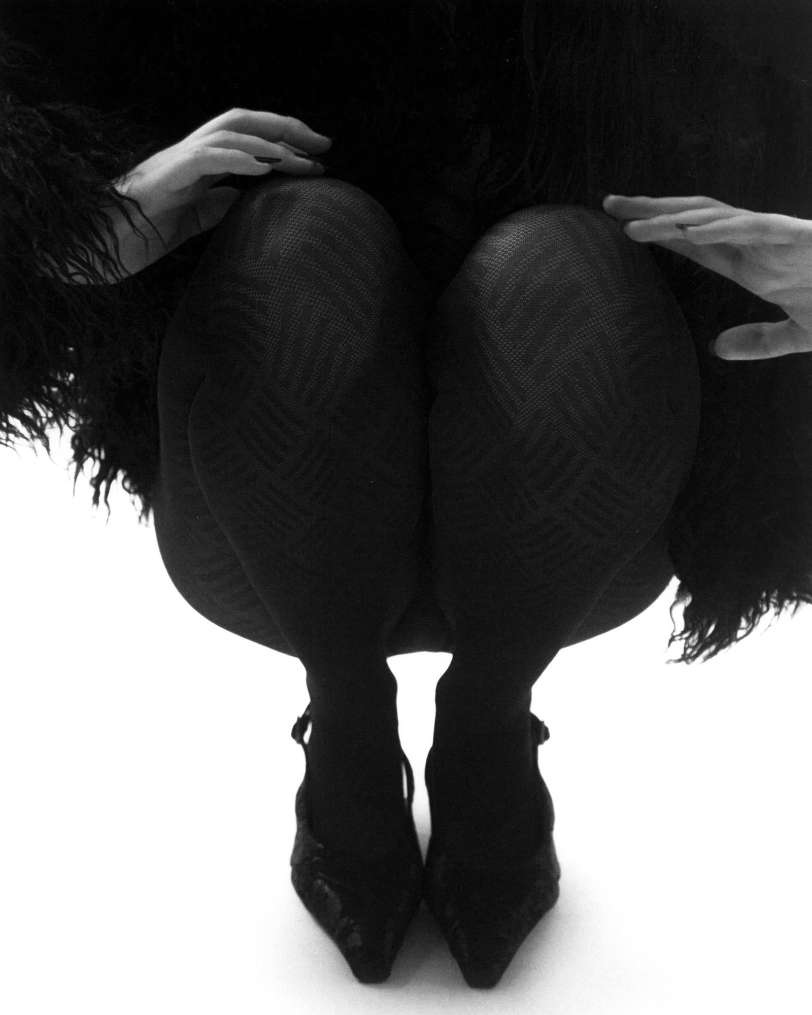 Kseniya Vashchenko Die krahe Digital Pigment Photograph 39 x 31 in Edition of 7 (1 of 2)