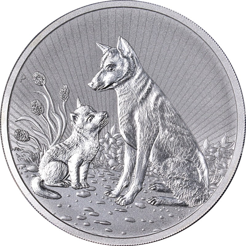 10oz 2022 Silver Coin Australia Dingo and Pup in Original Government Packaging (1 of 2)