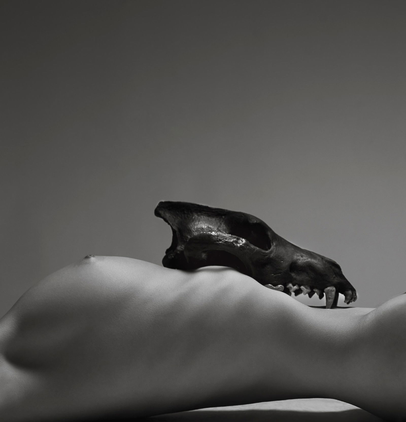 Aaron McPolin Lupa II Nude Photography Edition of 7 30 x 30: Aaron McPolin Lupa II Nude Photography Edition of 7 30 x 30 Presenting "Lupa II," a captivating piece of nude photography by Aaron McPolin, created in 2012. This striking work measures 30" x 30" (76.2