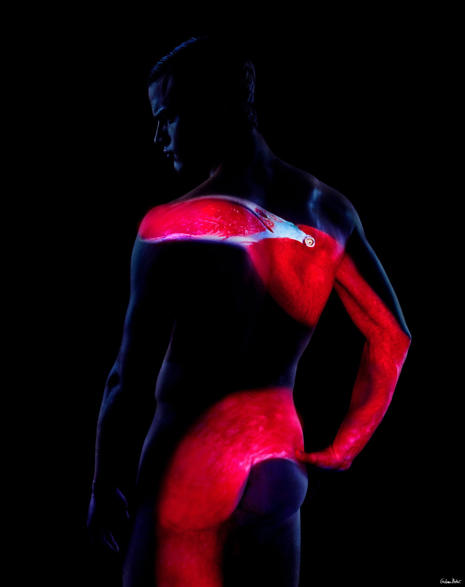 Giuliano Bekor WA66 Abstract Nude Photography Limited Edition 50x40: Giuliano Bekor WA66 Abstract Nude Photography Limited Edition 50x40 Explore the captivating "WA66" Abstract Nude Photography by Giuliano Bekor, measuring 50" x 40". Created in 2012, this piece is part