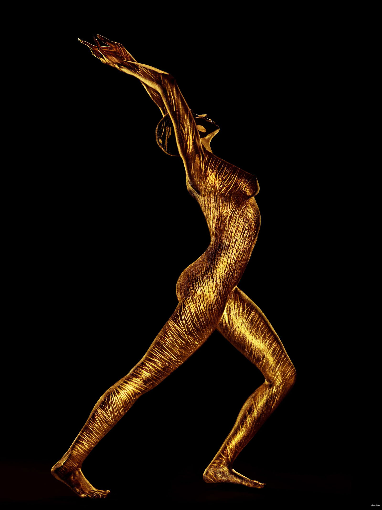 Giuliano Bekor Wild Cats WC26 Signed 50 x 40 Archival Photo Edition 1 of 10: Giuliano Bekor Wild Cats WC26 Signed 50 x 40 Archival Photo Edition 1 of 10 "Wild Cats WC26" is a contemporary archival pigment print by Giuliano Bekor, created in 2012. This un-used, museum-grade pho