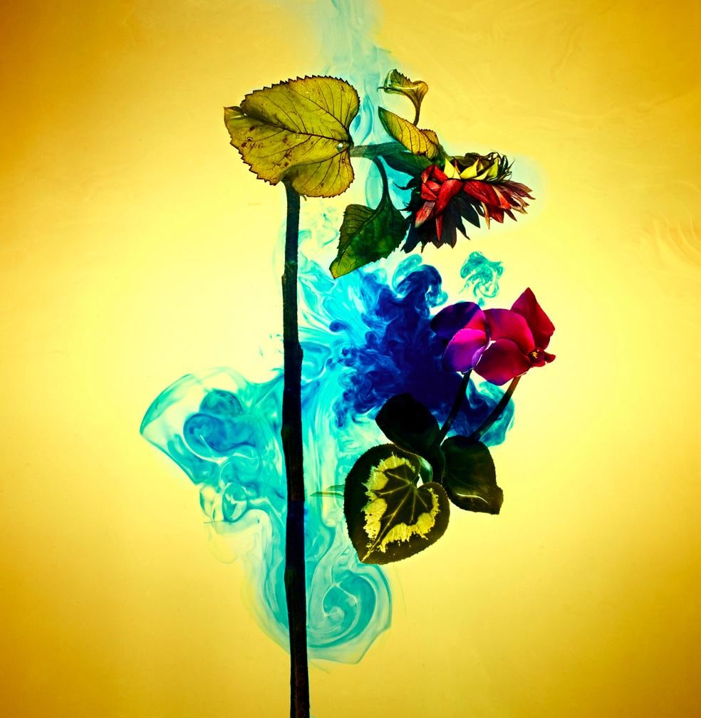 Giuliano Bekor Echoes No.14 Photography 40x40 Edition of 20 (1 of 5)